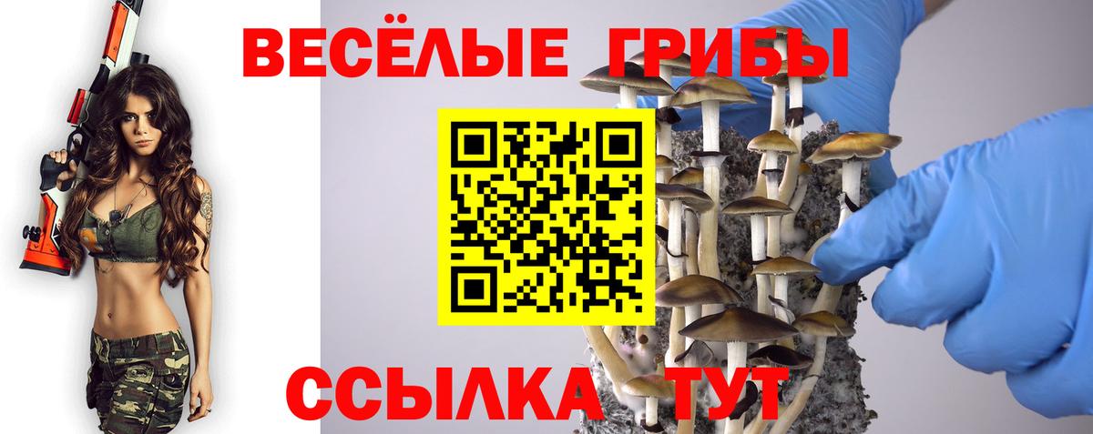Киреевск  Галлюциногенные грибы прущие грибы  Вход с VPN  Галлюциногенные грибы Cubensis 